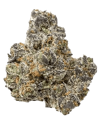 Apple Fritter bud