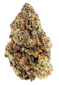 Black Runtz buds