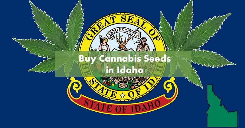 Buy Marijuana Seeds in Idaho