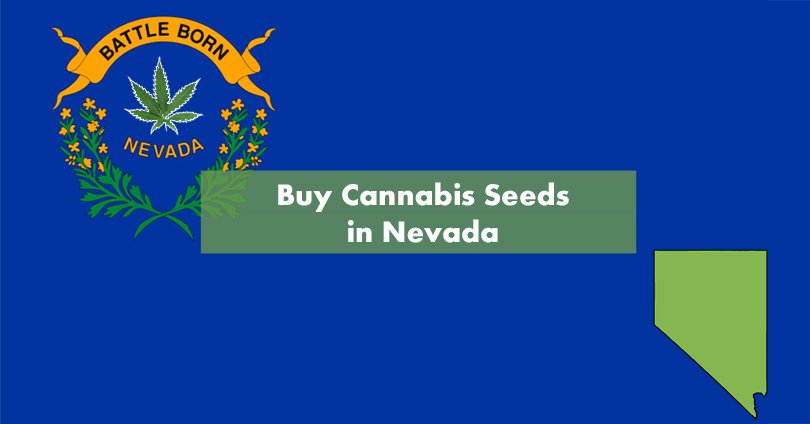 Buy Marijuana Seeds in Nevada