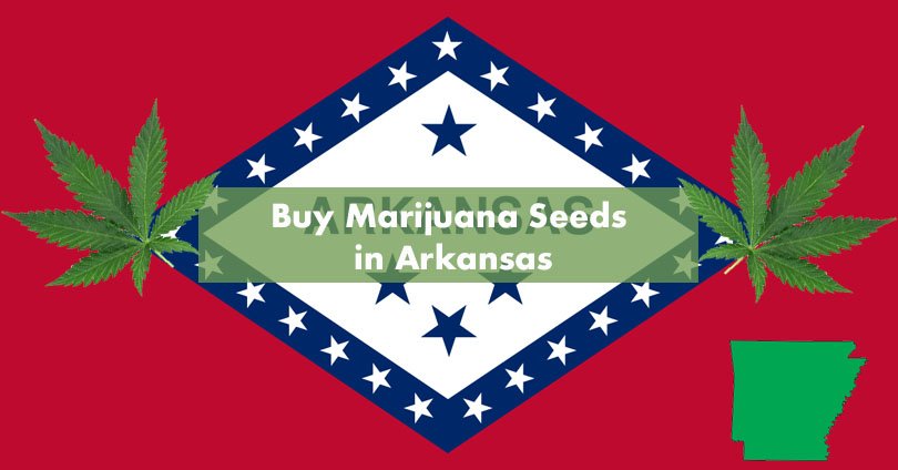 Buy Marijuana Seeds in Arkansas