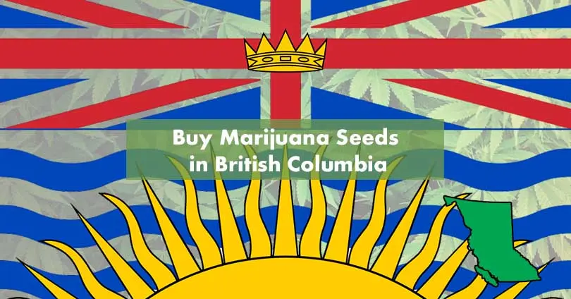 Buy Marijuana Seeds in British Columbia