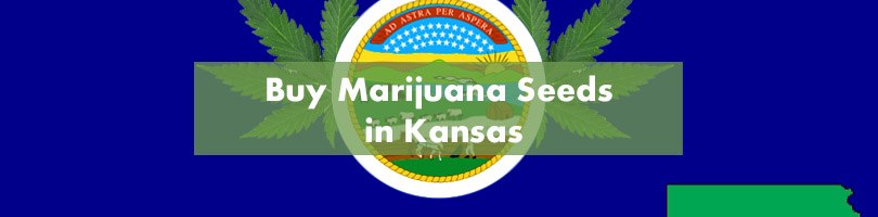 Buy Marijuana Seeds in Kansas Featured Image
