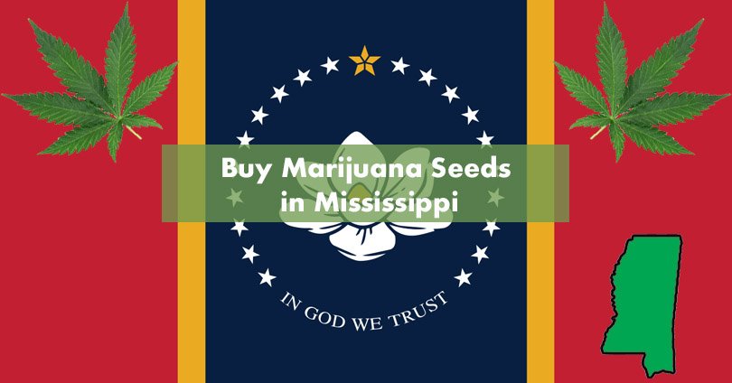 Buy Marijuana Seeds in Mississippi