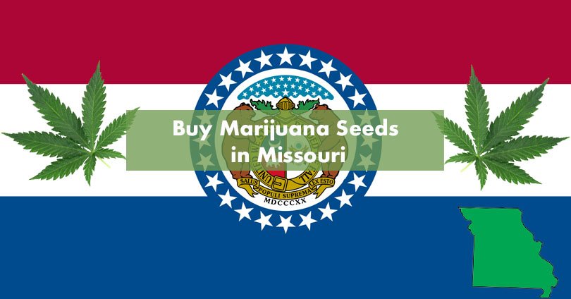 Missouri Cannabis Laws: Everything You Need to Know