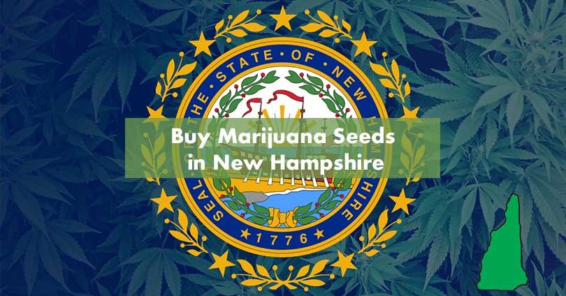 Buy Marijuana Seeds in New Hampshire