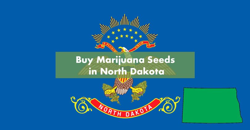 Buy Marijuana Seeds in North Dakota