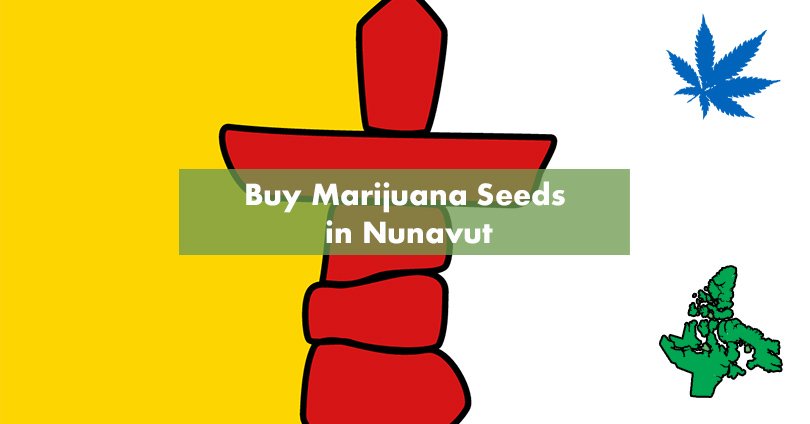 Buy Marijuana Seeds in Nunavut