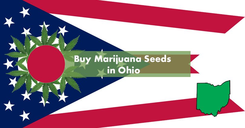 Buy Marijuana Seeds in Ohio