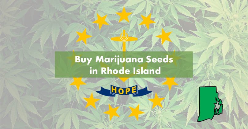 Buy Marijuana Seeds in Rhode Island