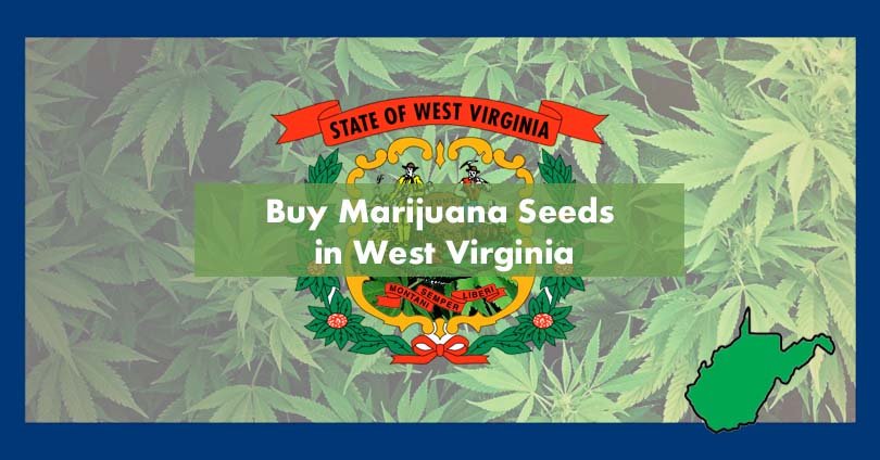 Buy Marijuana Seeds in West Virginia