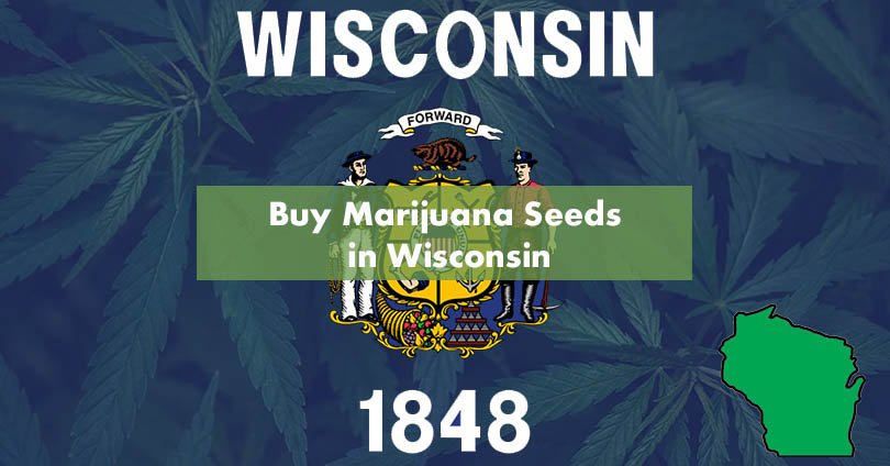 Buy Marijuana Seeds in Wisconsin
