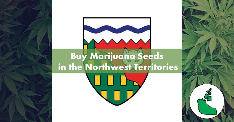 Buy Marijuana Seeds in the Northwest Territories