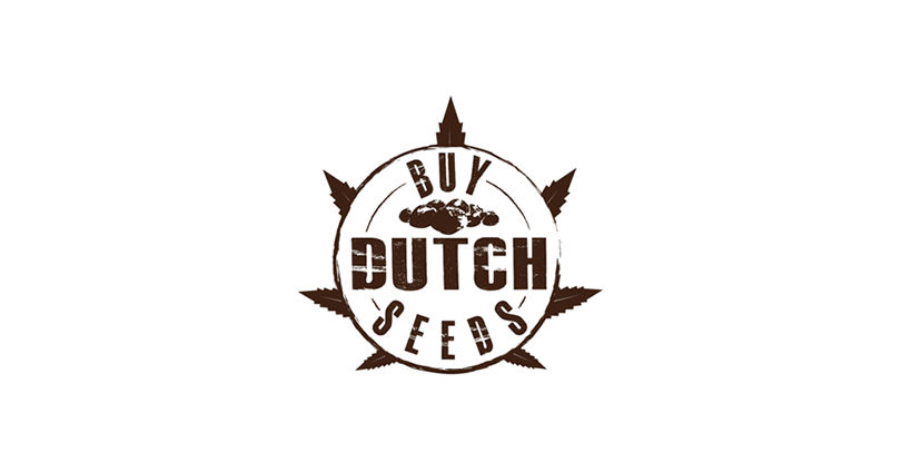 Buy Dutch Seeds Review 2019 10buds Cannabis Growing Guide - 