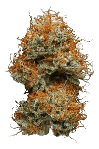 Hellfire OG bud