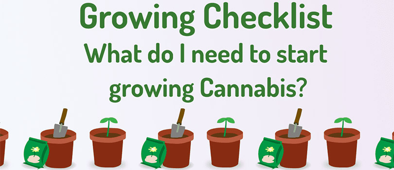 Planning a Cannabis Garden