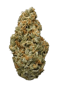 Silver Surfer Haze bud