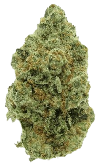 slurricane bud