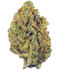 Stoned Panda Bud