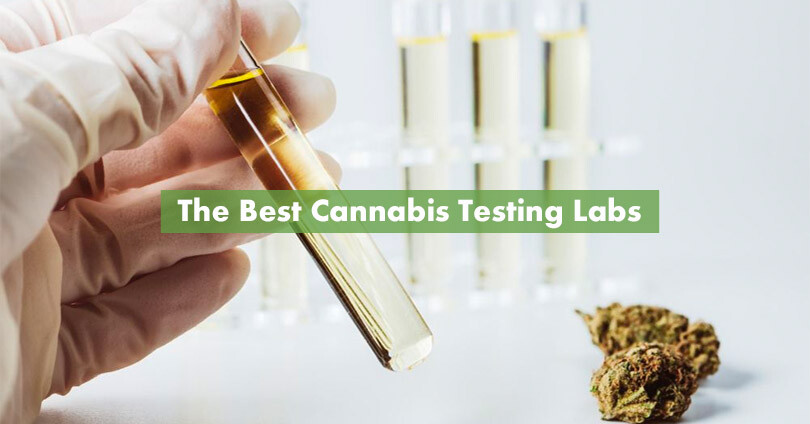 The Best Cannabis Testing Labs And Why You Need Them - 10Buds