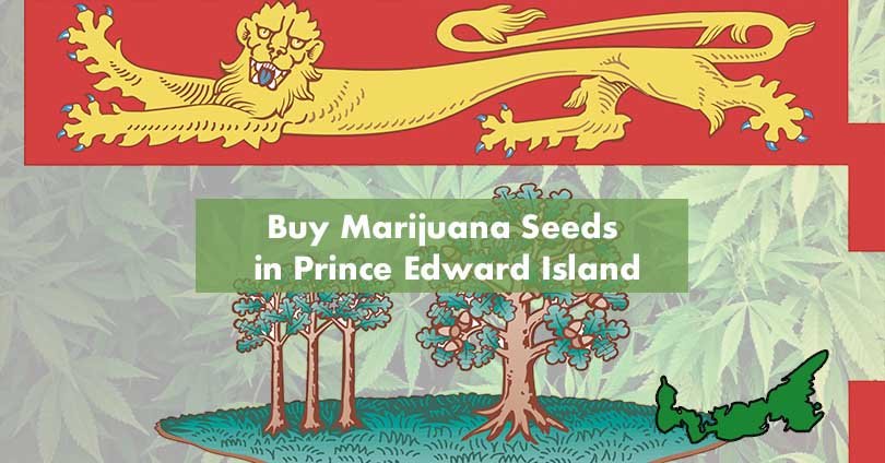 Buy Marijuana Seeds in Prince Edward Island