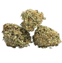 Blackberry Moonstones bud