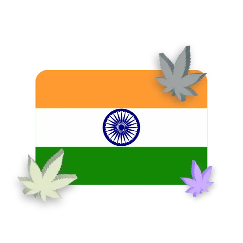Buy Cannabis Seeds India: A Comprehensive Guide to Legal and Quality Options