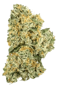 Cake Batter bud