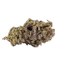 Chocolate Thai bud