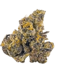 Gush Mints bud