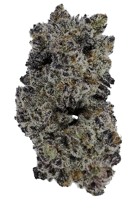 Oreoz bud